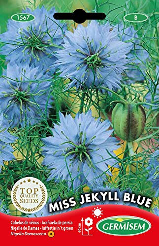 Germisem Miss Jekyll Blue Semillas 2 g