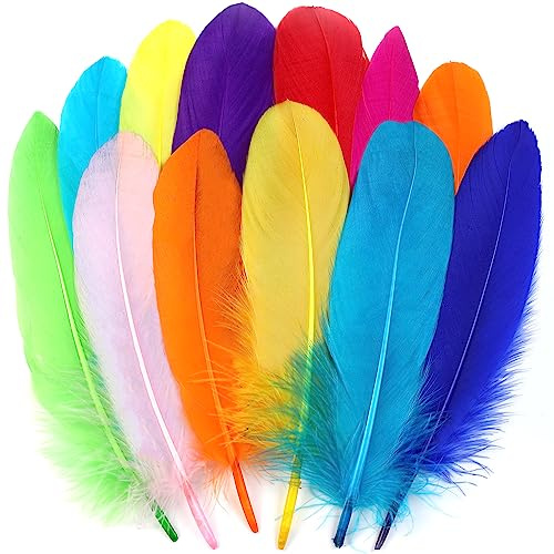Ballinger Large Colored Goose Feathers Bulk for Crafts,120 PCS,6-8 Inch | Big Colorful Hat Feathers for DIY Crafting,Thanksgiving Decor,Angel Wings,Dream Catchers,and School Theme Art Projects