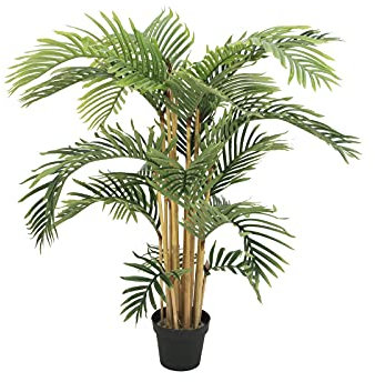 Europalms 82511361 Kentia Palma, 140 cm