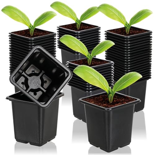 com-four® 60x Pots de Culture pour Plantes - Pot de Fleurs pour la Culture (060 Pièces - 7,5x8cm)
