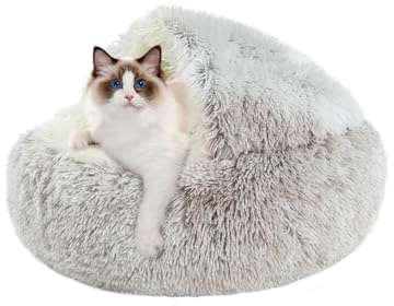 CUEMOON Cuccia per gatti, rotonda, morbida peluche, per cani di piccola taglia e gatti, lavabile, antiscivolo, cuccia per cani e gatti,Curry, 50 x 50 cm