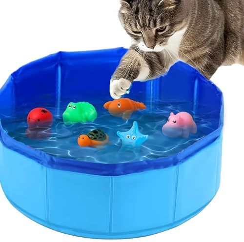 Piscine jouet pour chat avec poissons en plastique