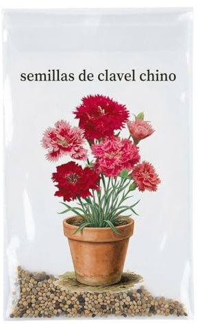 Planta Ornamental para Jardín y Maceta | Semillas de Clavel Chino con Floración Decorativa para Espacios Exteriores – DECOALIVE
