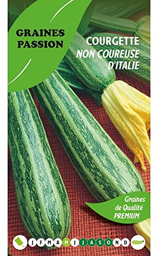 Graines Passion sachet de graines Courgette Non coureuse d'Italie
