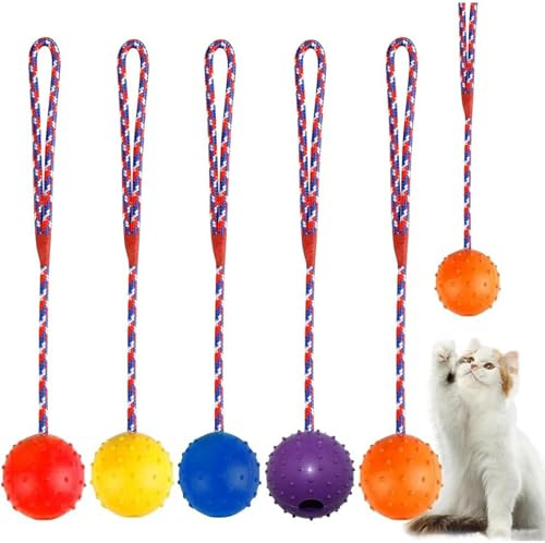 Smilbaley 5 Pezzi Palla da Lancio per Cani, Palla Lancia Palline per Cani con Corda, Palla con Corda in Gomma Naturale, Palla con Corda per Cani, per Far Giocare, Addestrare e Masticare i Cani