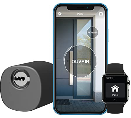 1Control DORY MINI, Serratura Smart senza Fili per Aprire Porte e Portoncini con il Telefono/Smartphone o con Chiave Tradizionale, Fino a 3 Utenti, Made in Italy
