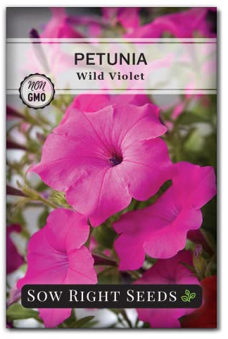 Sow Right Seeds - Petunia Wild Violet Flower Seed for Planting - Beautiful Flowers to Plant in Your Home Garden - Non-GMO Heirloom Seeds - Perfect for Outdoor Hanging Baskets - Great Gardening Gift