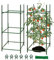 Meiwlong 81cm Tomato Cage Vegetable Trellis Assembled Garden Plants Stakes Support Frame Kit Connectors Ties Clips Outdoor Cucumber Vine Climbing