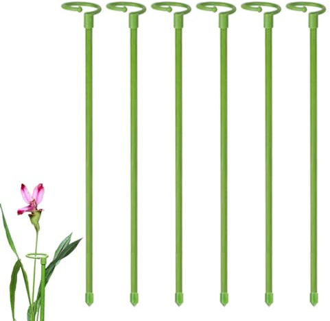Lot de 6 tuteurs pour plantes à tige unique | Anneau de support pour cage de plantes, bâtons de plantes, piquets de plantes de jardin pour fleurs à tige unique, amaryllis, pivoine, lys, narcisse