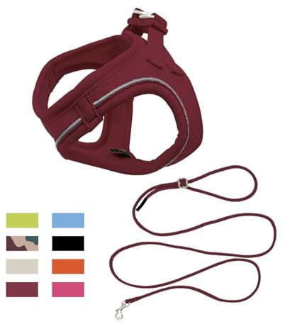 Qianruida Katzengeschirr Mit Leine, Kätzchen Welpengeschirr Ausbruchsicher Verstellbar Reflektierend Atmungsaktive Netzweste Flexibel Für Kleine Hunde Und Katzen Zum Laufen Training(Weinrot XXXS)