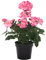 DARO DEKO Kunst-Blume Geranie stehend 1 Stück rosa