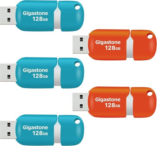 Gigastone V10 128GB 5-Pack USB2.0 Flash Drive Thumb Drive Memory Stick Pen Drive Capless Retractable Design (Multi Color)
