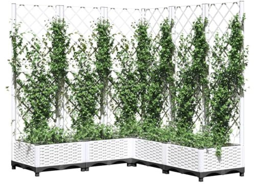 Fioriera a traliccio da giardino, bianco, verticale, 120 x 120 x 121,5 cm, ideale per piante rampicanti, contenitore per fiori in polipropilene resistente, con motivo a traliccio