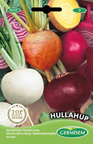 Germisem graines Betteraves rondes en mélange HULLAHUP