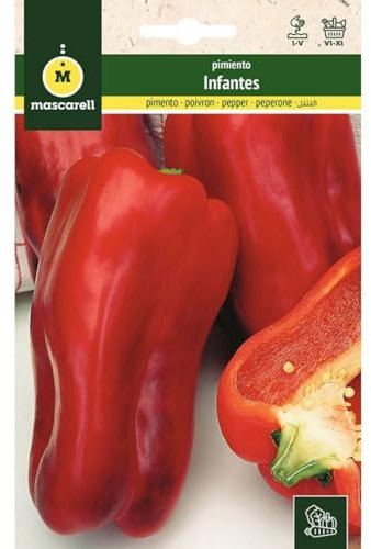 Mascarell Semillas, PIMIENTO, Semillas Huerto, PIMIENTO INFANTES, Crea tu Propio Huerto Urbano y Cultivo en Casa, Plantas Hortícolas, 1 Gramos