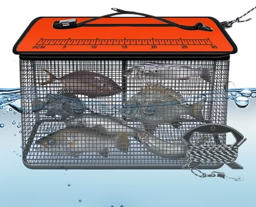 Piège de pêche pliable, panier à poisson portable, 50 x 39 x 24 cm, filet de rangement vivant, design en maille réfléchissante robuste, structure de transport pour ruisseau, rocher, mer, rivière