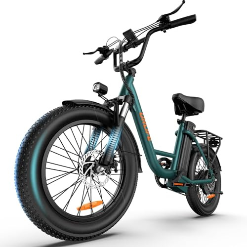 URLIFE Vélo Électrique, 20 * 3 Fat Bike Electrique pour Adulte, VTT électrique 250W, Batterie Amovible 48V 13AH, Tout Terrain 7 Vitesses, E-Bike Autonomie 100 KM