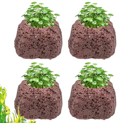 Macetas Para Plantas De Acuario | 4 Piezas Piedra Volcánica Anti-Flotante,Anillos Fijos para Macetas de Plantas de Acuario,para Decoración de Paisaje Agua Dulce y Salada para Estanques Camarones Acces