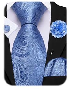 Barry.Wang Light Blue Tie 63 Paisley Silk Ties Set Pocket Square Cufflinks and Lapel Pin Extra Long Necktie Wedding