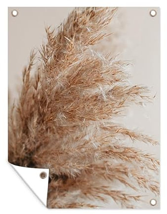MuchoWow Poster exterieur Herbe - Plantes - Nature - Herbe de la pampa Decoration murale 60x80 cm Résistant aux intempéries/soleil