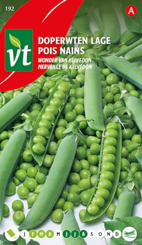 Pois Merveille de Kelvedon Graines - Goût plus doux, plus sucrés