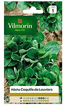 Vilmorin - Mâche Coquille Louviers