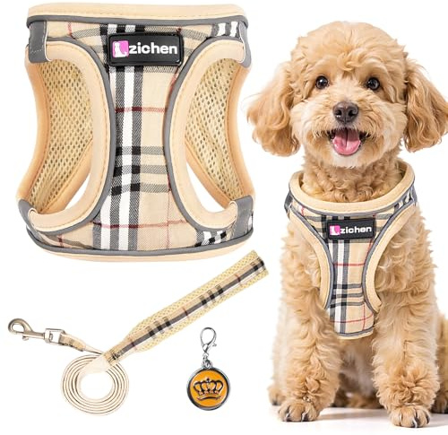 Hundegeschirr Kleine Hunde mit Leine, Verstellbares Step-In Welpengeschirr, Reflektierendes, Atmungsaktives Hundegeschirr für Welpen, für Spaziergänge, Training, Outdoor-Aktivitäten