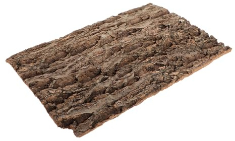 ibasenice Écorce De Fond pour Terrarium pour Reptiles Décor Grimpant en Liège Naturel Taille 20x30cm Décoration Murale pour Aquariums Fournitures pour Reptiles Écorce Solide