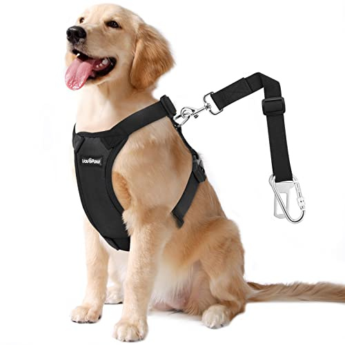 VavoPaw Pettorina di Sicurezza per Cani, Auto Viaggio Cintura con Clip Imbracatura Regolabile per Cintura Auto, Taglia XXL, Nero
