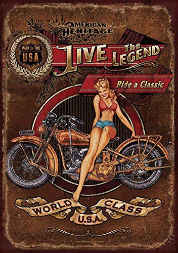 Harley Davidson Heritage Carteles de Chapa Póster de Pared Hojalata Vintage Hierro Pintura Retro Metal Placa Arte Decoración para Hogar Bar Club Café