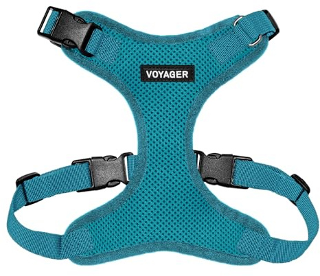 Best Pet Supplies Voyager Step-in Lock Pet Harness – All Weather Mesh, justerbart steg i selen för katter och hundar, turkos (matchande kant), XL (byst: 55–91 cm)