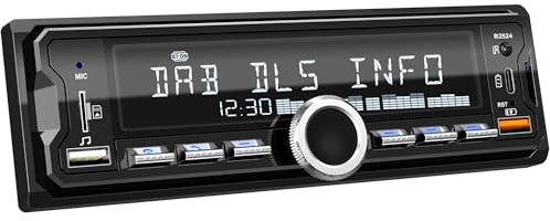 Autoradio DAB/DAB+, CENXINY Auto Radio Bluetooth RDS/FM/AM,1 Din Autoradio mit Fernbedienung,unterstützt 2 USB,AUX-Eingänge,TF/SD/FM/iOS Android,Multicolour