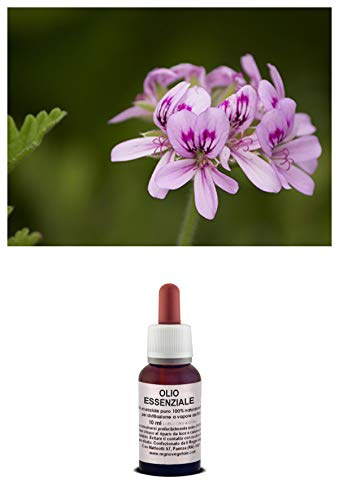 Olio essenziale 100% Puro GERANIO BOURBON Naturale Uso Interno/Esterno (10 ml)
