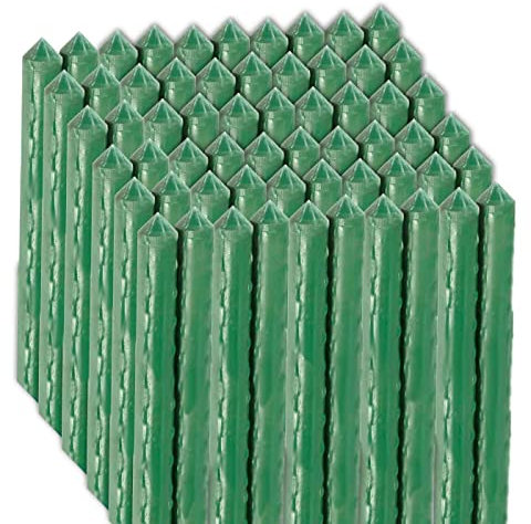 AC – Pack de 60 Tutores de Acero Plastificado para Plantas – Ideal para el Cuidado de Las Plantas – Varilla para el Cuidado de Las Plantas y Arboles – Tamaño a (Ø 1,1 x 180 cm)