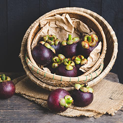 Semi di mangostano - semi di comprare da frutto da frutto colonnari raro esotico per giardinieri colonnari colonnare vecchie varietà balcone 40pcs