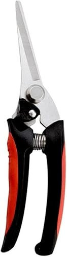 Tijeras de podar, tijeras para bordes, podadoras manuales, tijeras de podar profesionales Tijeras de jardín de acero inoxidable para plantas Arbustos Arbustos Tijeras Rec