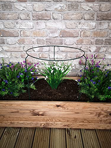Samuel ALEXANDER Urban Metal Herbaceous Garden Plant Support Ring Large 40cm x 60cm