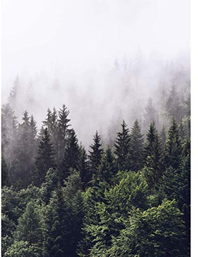 Designwalls 2.0 | Foggy Forest DD119123 | Natur Landschaft Tapete für Wohnzimmer | Vlies Tapete Grün Weiß - 1,92 m x 2,6 m