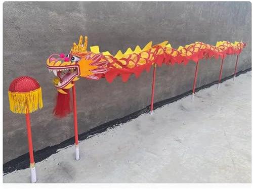 SFSLBFB Danse du Dragon Chinois, Danse du Dragon en Soie, Danse du Dragon de 5 m, Spectacle Sportif en Plein air, Danse du Lion, Danse du Lion du Nouvel an Chinois, Tête de Lion réaliste (pourrie)