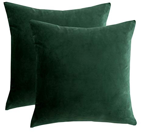 RainRoad Juego de 2 Fundas de cojín Decorativas de Terciopelo para sofá, Cama, Silla, cuadradas, Color Verde Oscuro, 18 x 18 Pulgadas