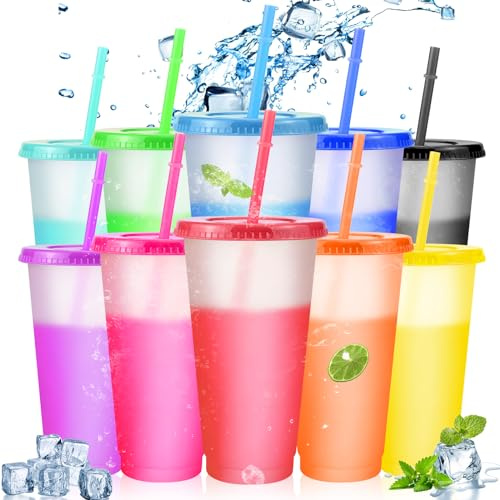 RAINPOP Iced Water Cups with Lids & Straws - 10Pcs 24oz Cold Drinking Tumblers Plastic Tumbler Set Reusable Plastic Cup, Slushie Cup Coffee Smoothie Slushy Drinking Cup Party Cups