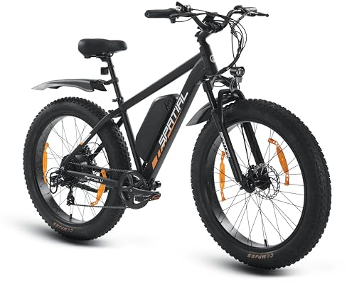 SPATIAL Bicicleta Eléctrica Montaña de 26 con Neumáticos Anchos de 4.0 y Batería de 48 V 13Ah y 624 WH (Schwarz)