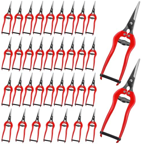 CraftyDream 36 Pcs Straight Pruning Shears Florist Multi-tasking Garden Scissor Leaf Trimmer Floral Fruits Picking Sharp Gardening Snips for Arranging Flowers Harvesting Herbs Fruits Vegetables