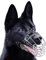 Hundemaulkörbe aus verchromtem Metall, Drahtkorb, verstellbare Lederriemen, Deutscher Schäferhund, verstärkt (Nr. 1), Schnauzenumfang: 28,9 cm, Länge: 10,9–11,9 cm