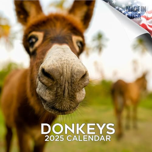 2027 Donkeys Calendar - Cute Farm Animal Monthly Wall Calendar, 16 Month 12x24 Wildlife Planner, Thick No-Bleed Paper, Large Grid, Giftable Animal Calendar for Teachers, Home, Office, Made in USA