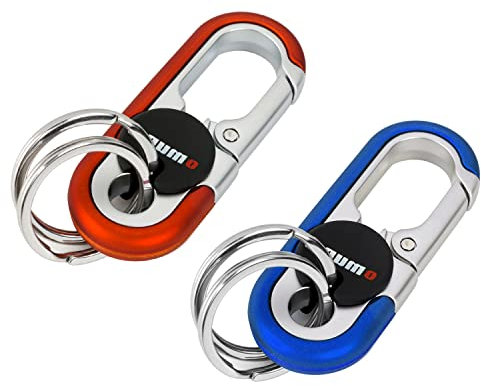 2 Stück Schlüsselanhänger Karabiner, Auto Schlüsselanhänger mit 4 Schlüsselring, Rostfreier Stahl Schlüsselkarabina, Mini-Outdoor-Werkzeuge, Unisex