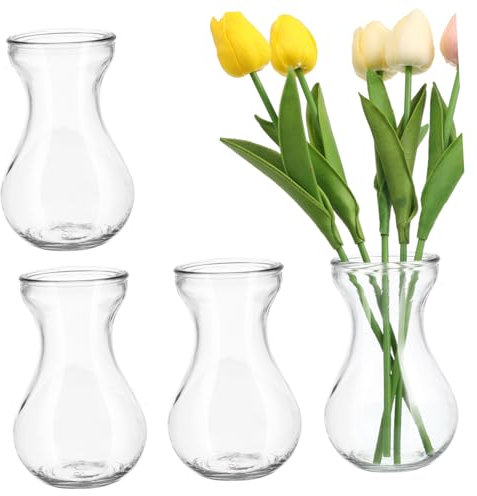 FUNOMOCYA 4 Stück Glasvase Hyazinthenvase Hydrokultur Pflanzer Klar Glas Blumenbehälter Für Büro Wohnzimmer