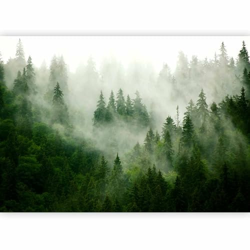 murando Photo Wallpaper Forest Fog 300x210 Centimetres | Non-woven Premium Art Print Fleece Wall Mural Decoration Poster Picture Design Modern Nature Landscape scandinavian