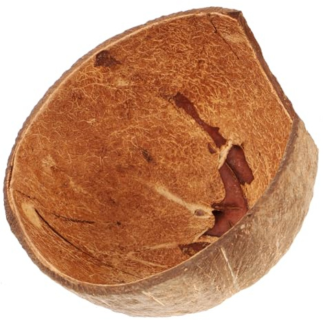 Hemobllo Cachette pour Reptiles en Coque De Noyau De Noix Naturelle, Abri Humide Multifonctionnel pour Lézards Et Tortues, Taille Moyenne, Décor Terrarium pour Habitat Sécurisé d'animaux Domestiques