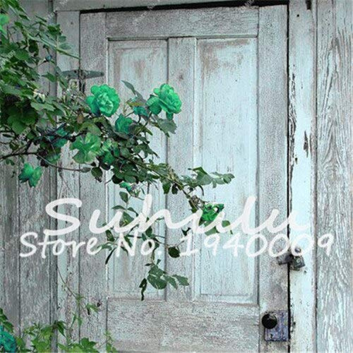 8: Semi di Rose rampicanti, piante di alberi Bonsai, semi di Fiori cinesi, bel Fiore FAI da te decorazione del giardino di casa 50 pezzi